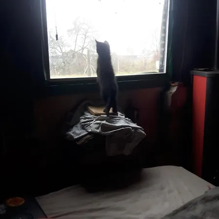 Fairtopia - Kunst & Kulturheilstaette Camping *