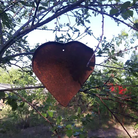 Fairtopia - Kunst & Kulturheilstaette Camping Grafenhainichen