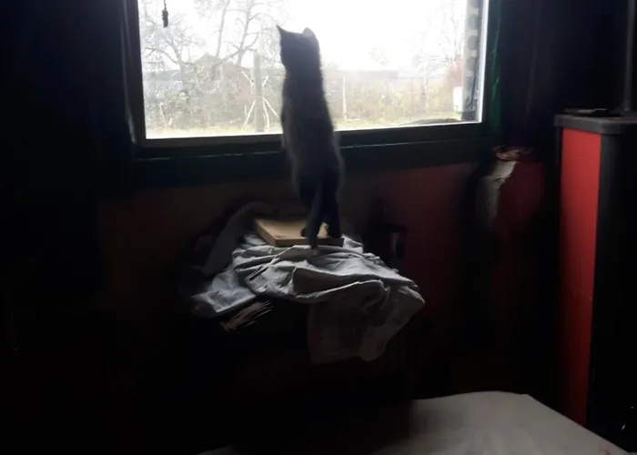 Fairtopia - Kunst & Kulturheilstaette Kemping *