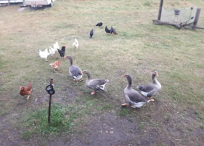 Fairtopia - Kunst & Kulturheilstaette Campeggio Grafenhainichen